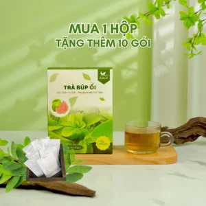 1 hộp 60 gói tặng 10 gói TRÀ BÚP ỔI NON