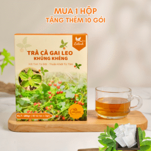 1 hộp 60 gói tặng 10 gói TRÀ CÀ GAI LEO - KHÚNG KHÉNG