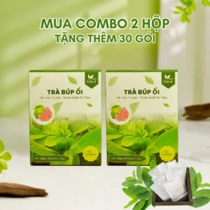 Combo 2 hộp 120 gói tặng 30 gói TRÀ BÚP ỔI NON