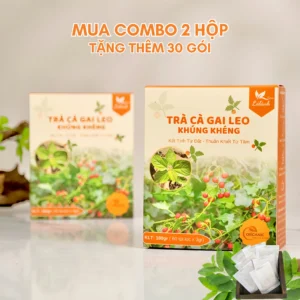 Combo 2 hộp 120 gói tặng 30 gói TRÀ CÀ GAI LEO - KHÚNG KHÉNG