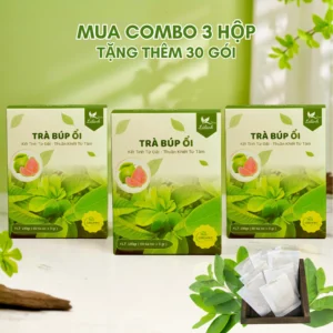 Combo 3 hộp 180 gói tặng 30 gói TRÀ BÚP ỔI NON
