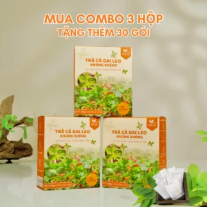 Combo 3 hộp 180 gói tặng 30 gói TRÀ CÀ GAI LEO - KHÚNG KHÉNG